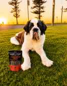 Kangaroo Jerky