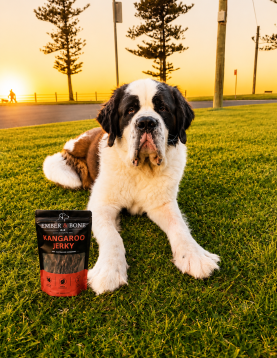 Kangaroo Jerky