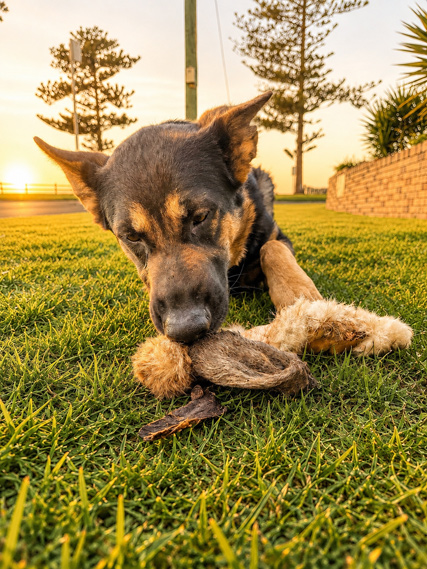 Natural Goat Horn Dental Chews